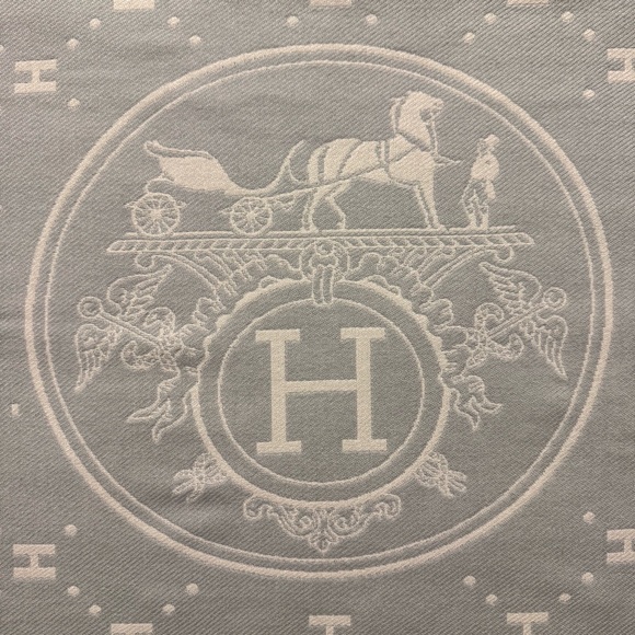 Hermès fringe scarf in light gray and white cashmere and silk - Picture 9 of 13